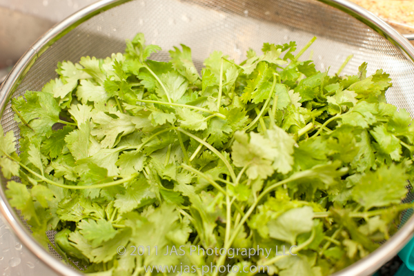 fresh garden cilantro for chutney