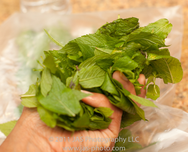 fresh garden mint for chutney