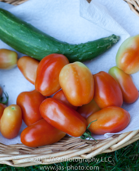 san marzano tomatoes from garden