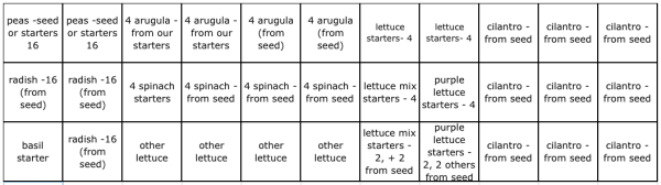 cool weather vegetable garden plan